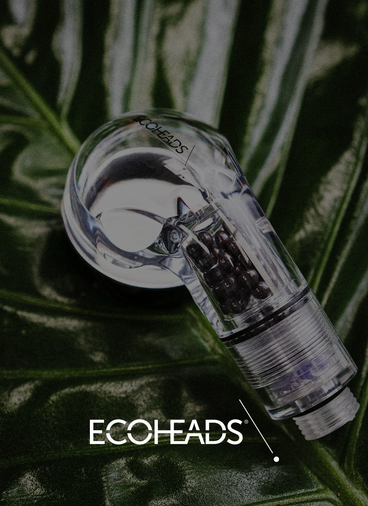 ECOHEADS