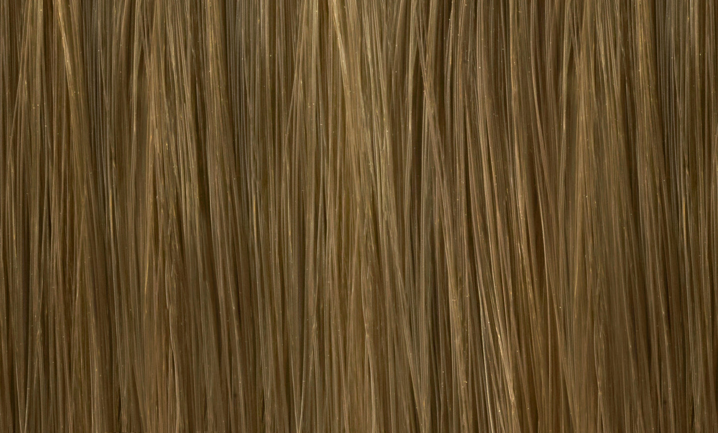 Color.Me Gloss Shades